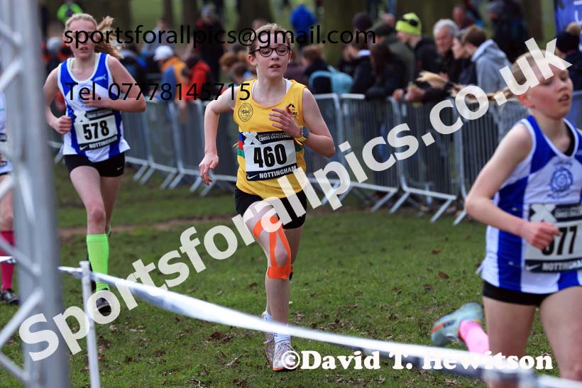 Girls Under-13s, 2024 CAU Inter Counties Cross Country Champs., Wollaton Park, Nottingham. Photo: David T. Hewitson/Sports for All Pics